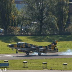 Tiger Hunters letzter Flug 11.2021